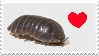 Bug Love Stamp